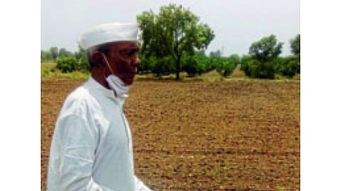 Farmer