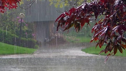 येत्या 48 तासांत मान्सून 'कमबॅक'; मुसळधार पावसाची शक्यता