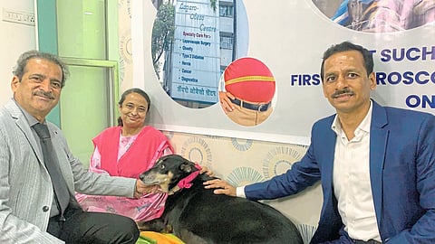 आठवड्यात श्वानाचे 5 किलो वजन कमी;देशात पहिलीच शस्त्रक्रिया