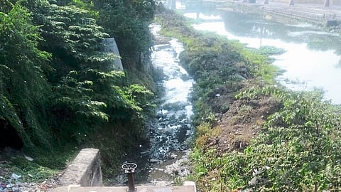 Godavari