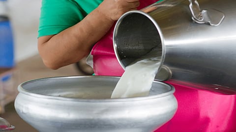 Milk rate
