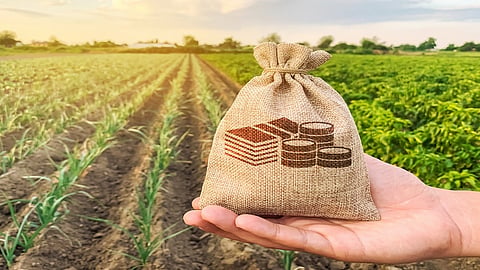 crop insurance