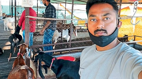 शेळ्यांचेही होतेय ऑनलाइन ट्रेंडिंग; गोटफार्म हा अनस्टॉपेबल बिझनेस