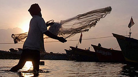 Fisherman