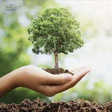 जागतिक पर्यावरण दिन