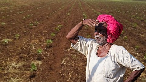 farmer waiting rain