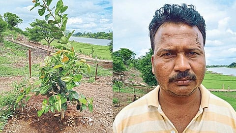 Mauli Pratishthan