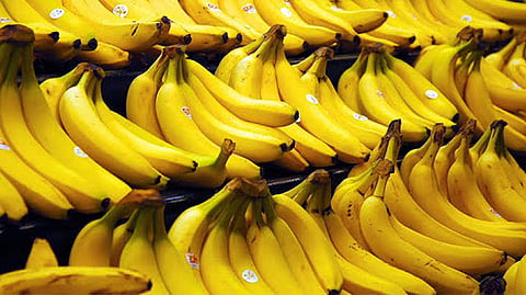 Panchnama of damage to banana crop complete