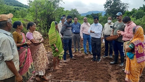 Mahabaleshwar Department of Agriculture