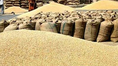 grain