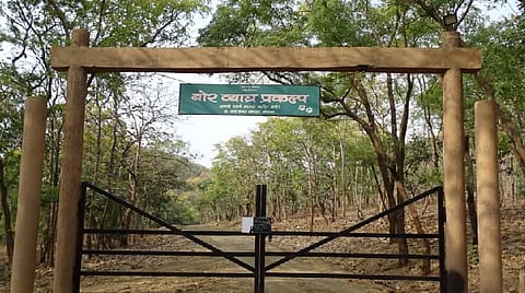बोर अभयारण्य