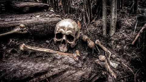 Dangerous