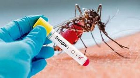 dengue