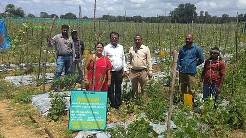 Dr. Prakash Hubli