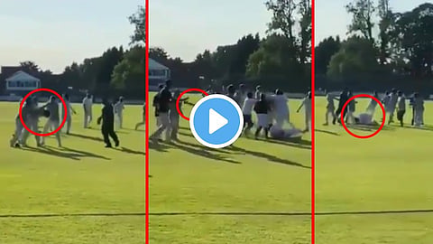 Cricket-Fight-Video