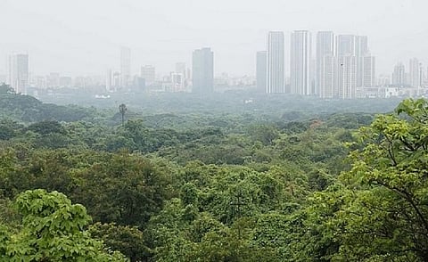 मुंबईत आरेच्या जंगलात अल्पवयीन मुलीवर बलात्काराचा प्रयत्न
