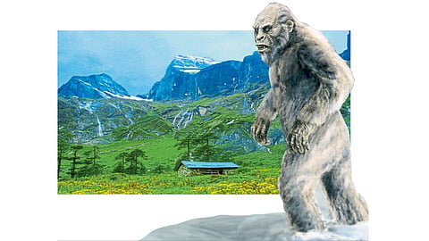 Yeti