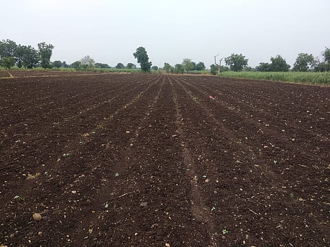 farm