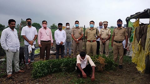 hingoli