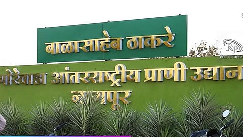 गोरेवाड्याची बनावट वेबसाइट; जाणून घ्या अधिकृत साइट व पूर्ण माहिती