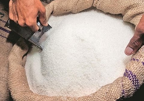 sugar