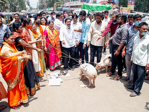 shiv sena movement
