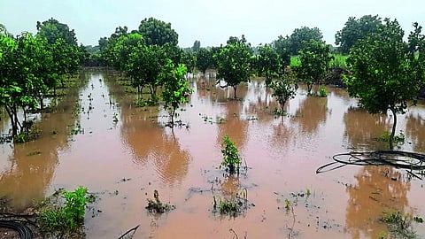 अतिवृष्टीमुळे नुकसान