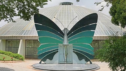 भारतातील 'ही ' आहेत प्रसिद्ध Butterfly Parks ; जाणून घ्या ठिकाणे