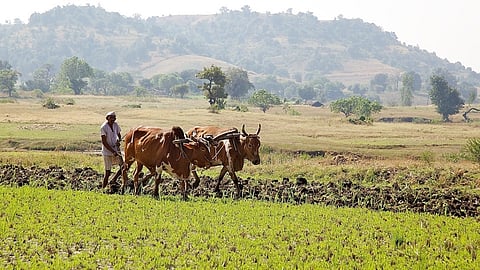 farmer