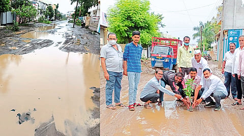 Peoples planting trees in potholes using Gandhigiri