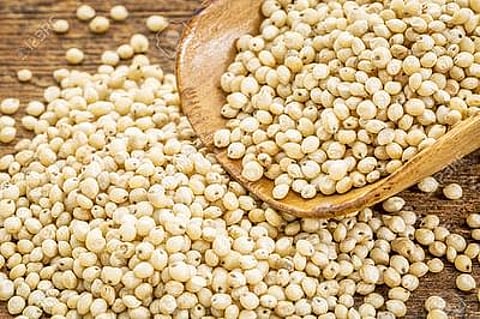 sorghum
