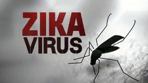 zika virus