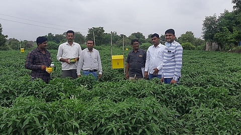 शेतकऱ्याने साधली अर्थक्रांती; शेतीतून साडे सोळा लाखांचे उत्पन्न