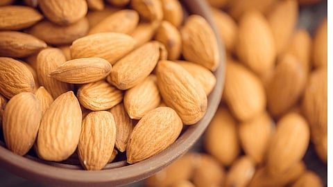 Pregnancy and Almonds : प्रेग्नंसीमध्ये कच्चे बदाम खावेत का?