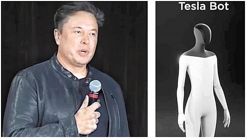 Tesla Bot