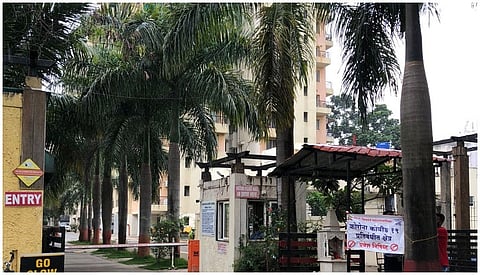 palm sociaty