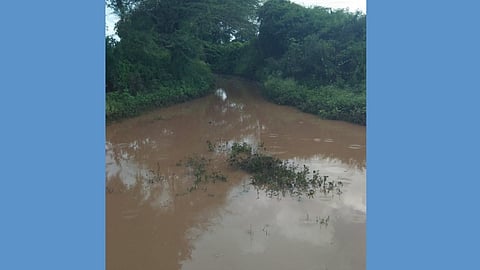 Farm Road