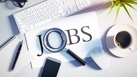 Government Job