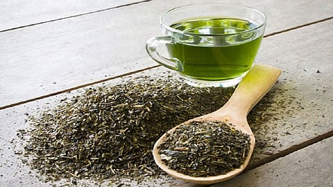 Green Tea Shampoo