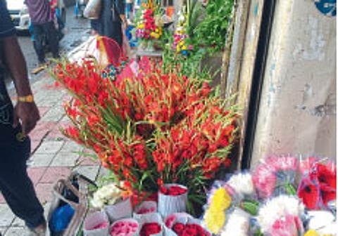dadar