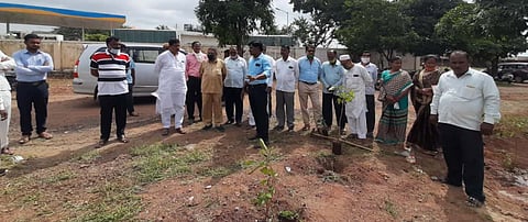 plantation