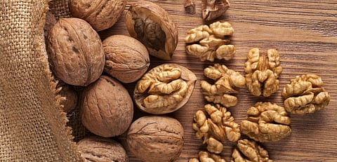 Walnut