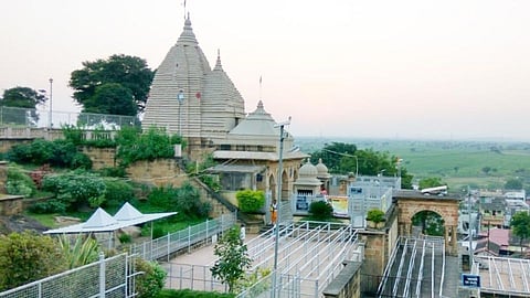 शमीच्या वृक्षातून निघाले ‘शमी विघ्नेश’; चला पर्यटनाला