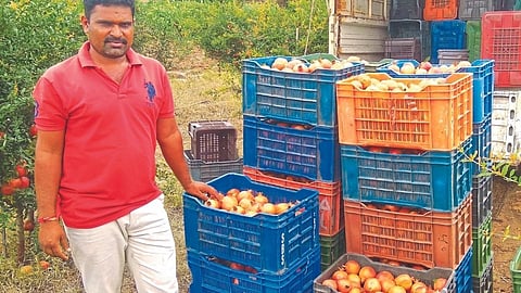 farmer