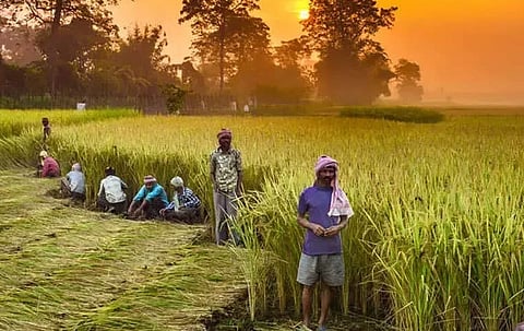 उस्मानाबाद: 'ई-पीक' पाहणी शेतकऱ्यांसाठी डोकेदुखी