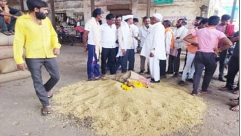हिंगोली - बाजार समितीच्या मोढ्यात विक्रीसाठी आलेल्या सोयाबीनला ११ हजार २१ रुपये प्रतिक्विंटल भाव मिळाल्याने शेतकरी समाधानी झाले असुन असाच भाल कायम राहावा अशी अपेक्षा शेतकऱ्यांतून व्यक्त होत आहे.