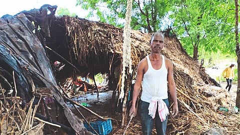 major-losses-of-farmers-and-labourers-due-to-floods
