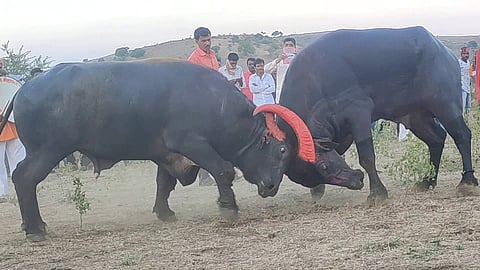 jalna