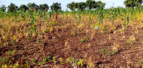Satara
