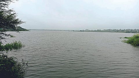 दमदार पाऊस